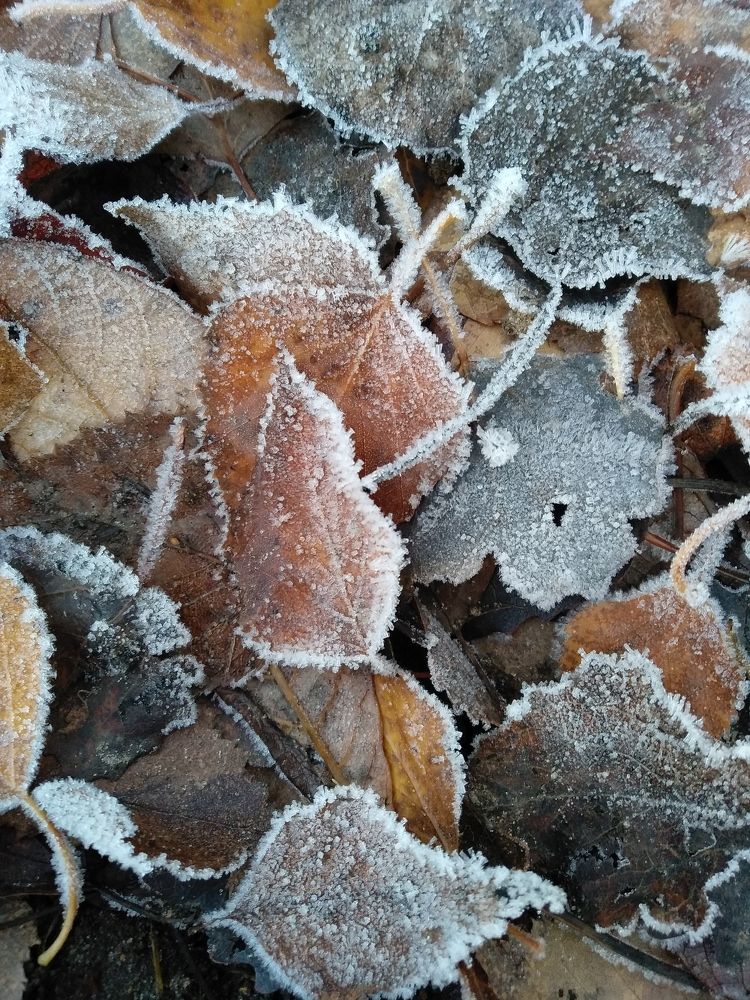 Photograph by Михаил Гаврилов