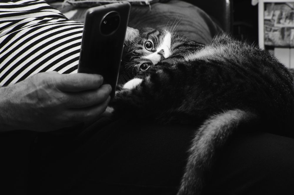Photograph by Yulia