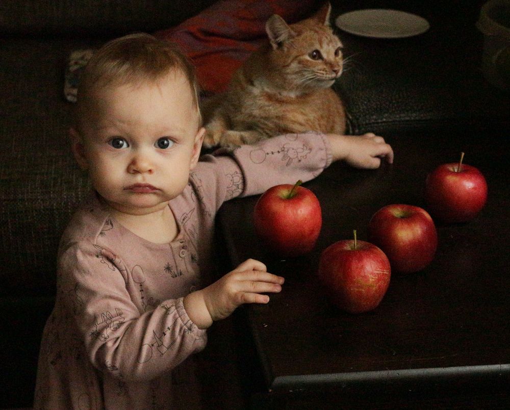 Photograph by Елена Глуховкина