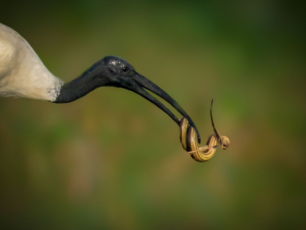 Photograph by Pratyayee Dutta