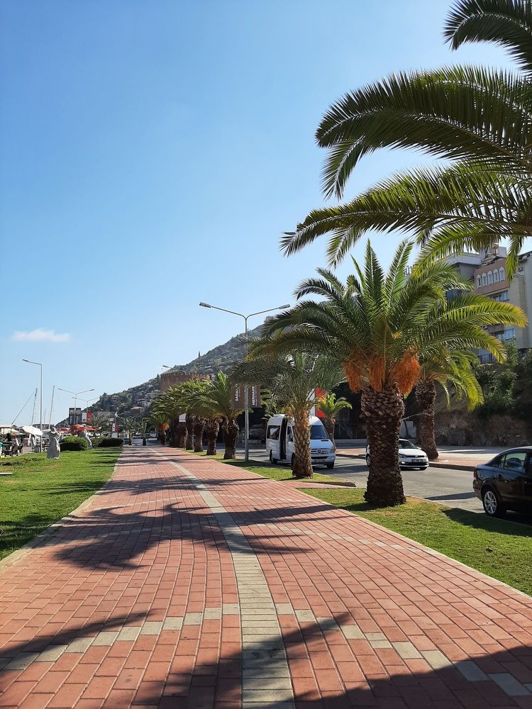 Photograph by Елена Горева