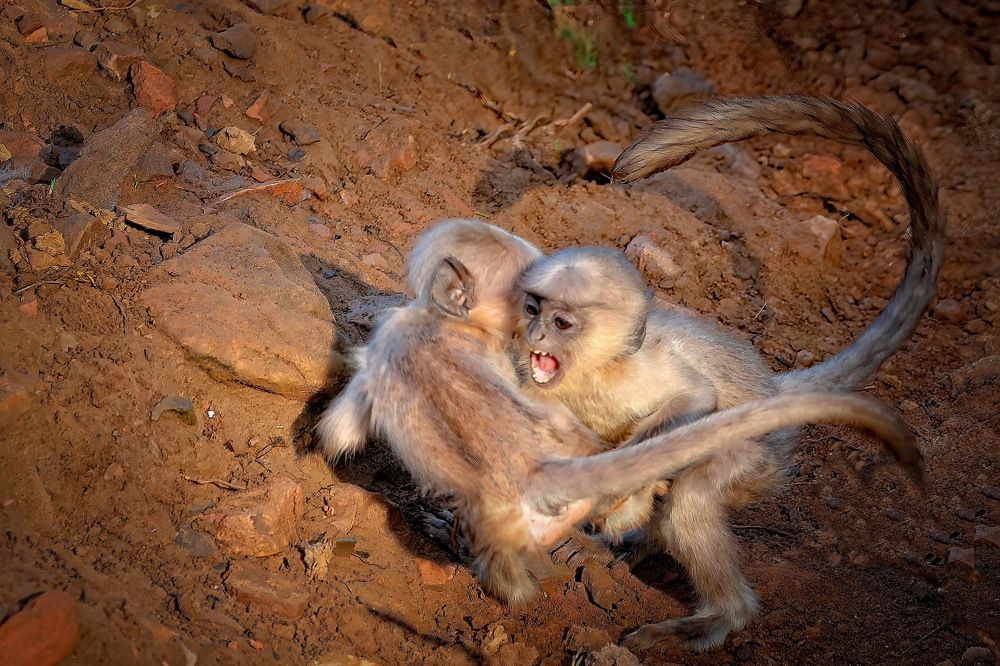 Photograph by Aniket Karane