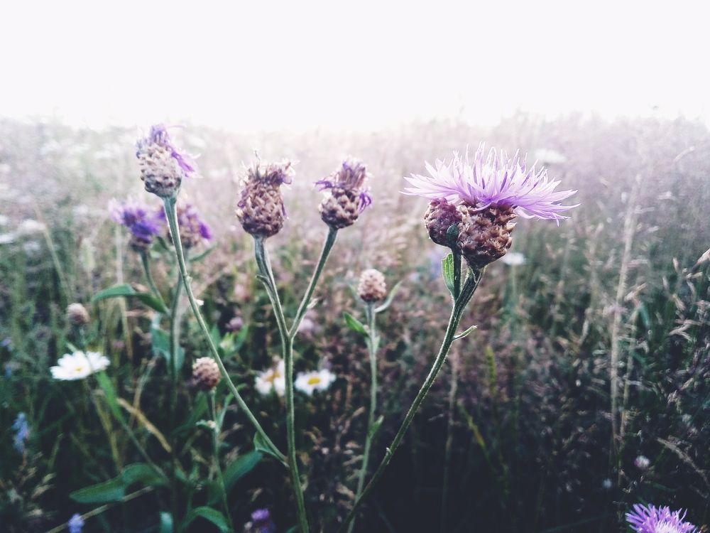 Photograph by Михаил Гаврилов