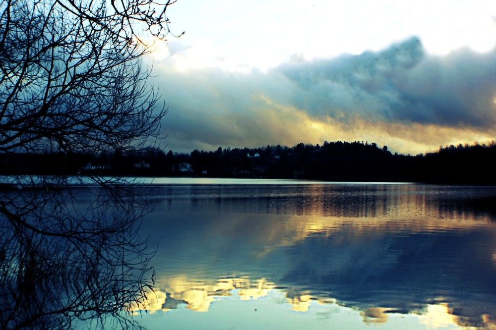 Photograph by Lena Feldman