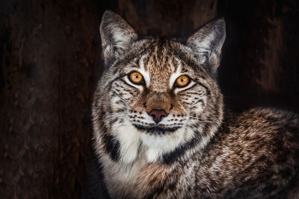 Photograph by Екатерина