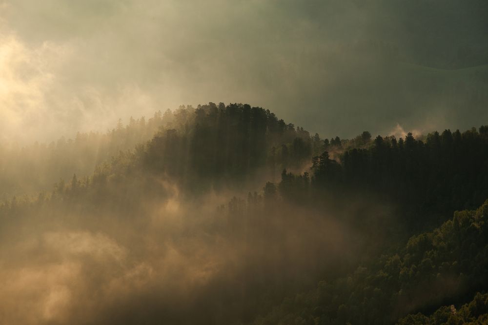 Фотография автора AGIL