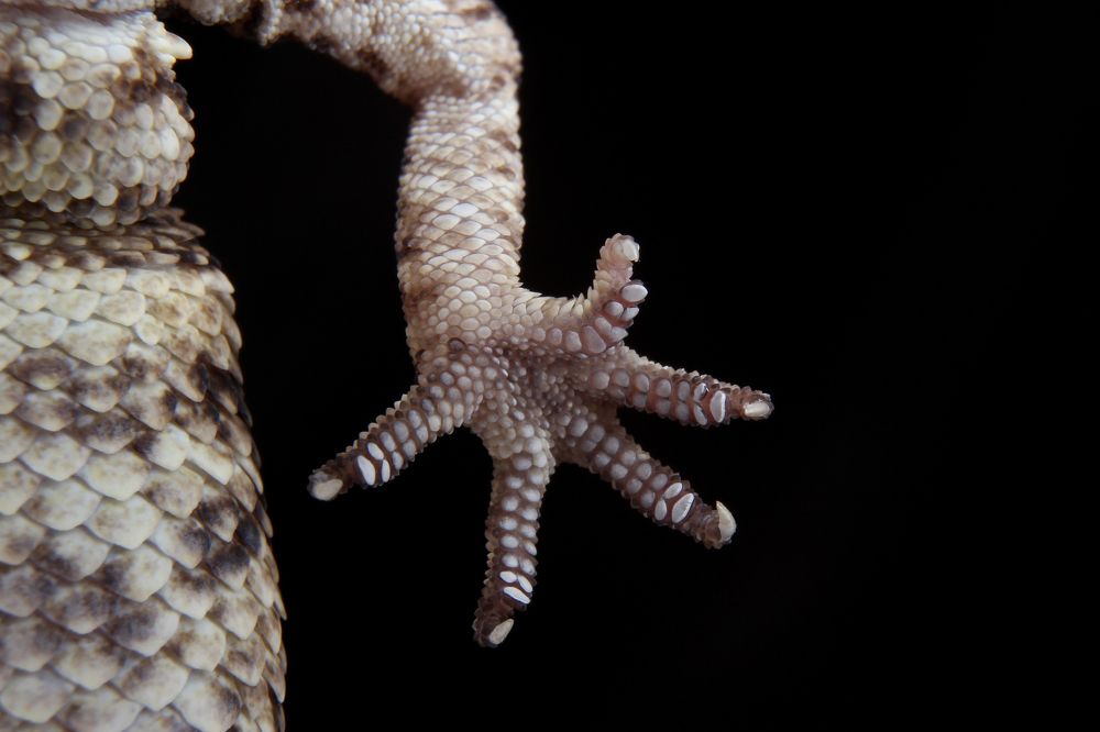 Photograph by Дарья Хлюстикова