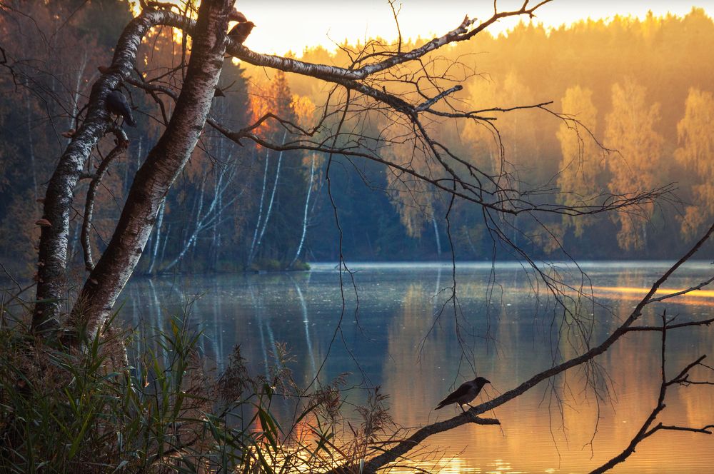 Photograph by Евгения Ботова