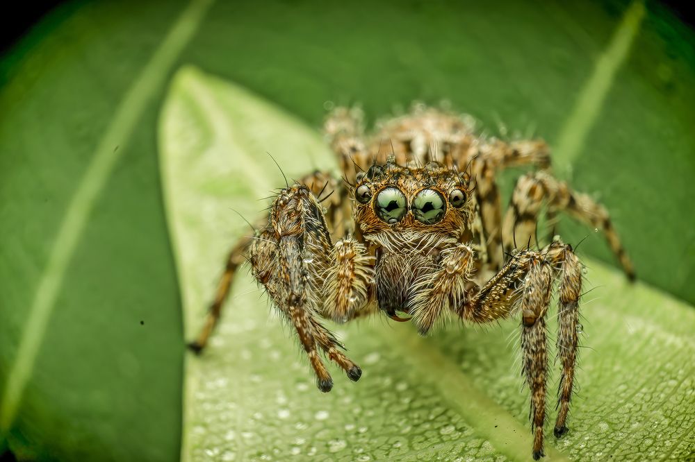 Photograph by Dhruv Shilpi