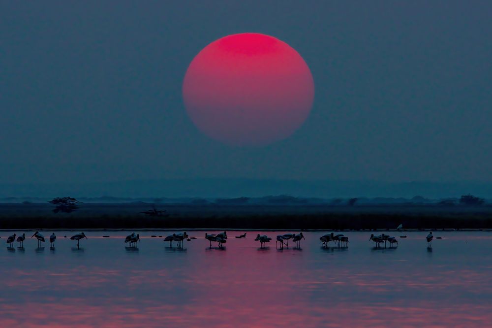 Photograph by Dhruv Shilpi