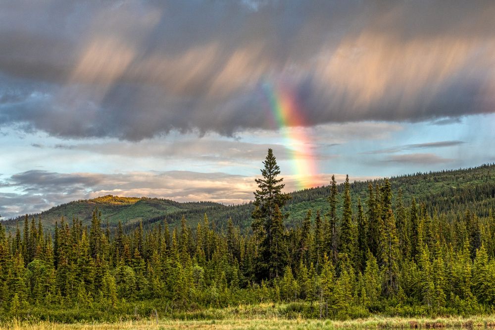 Photograph by Anatoliy Kosterev