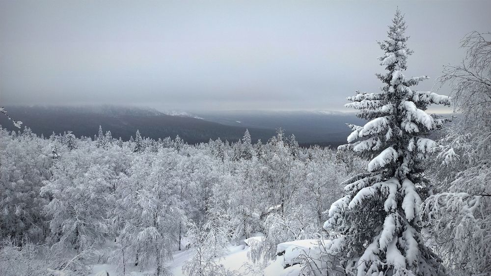 Photograph by Ольга Метлицкая