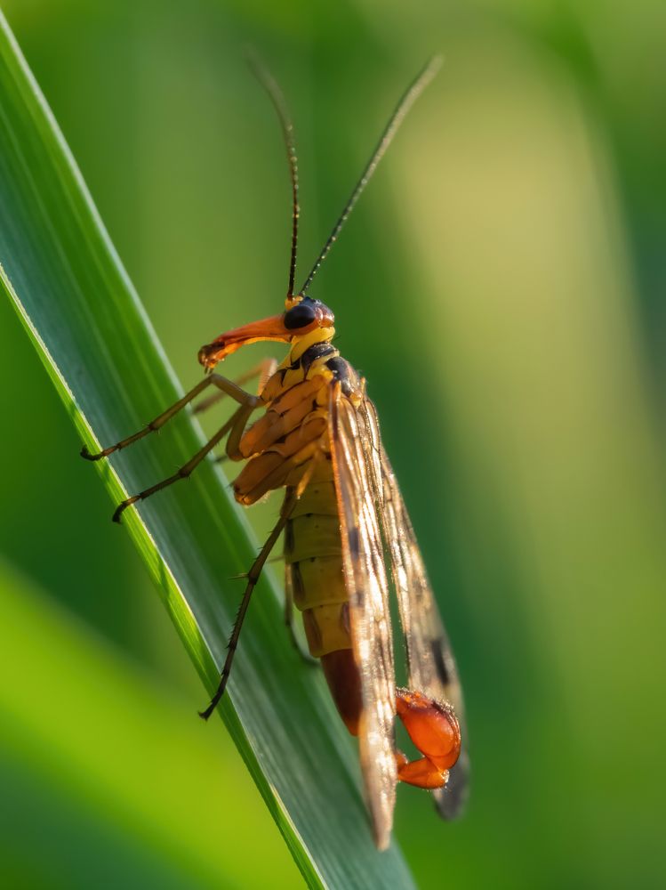 Photograph by Дмитрий