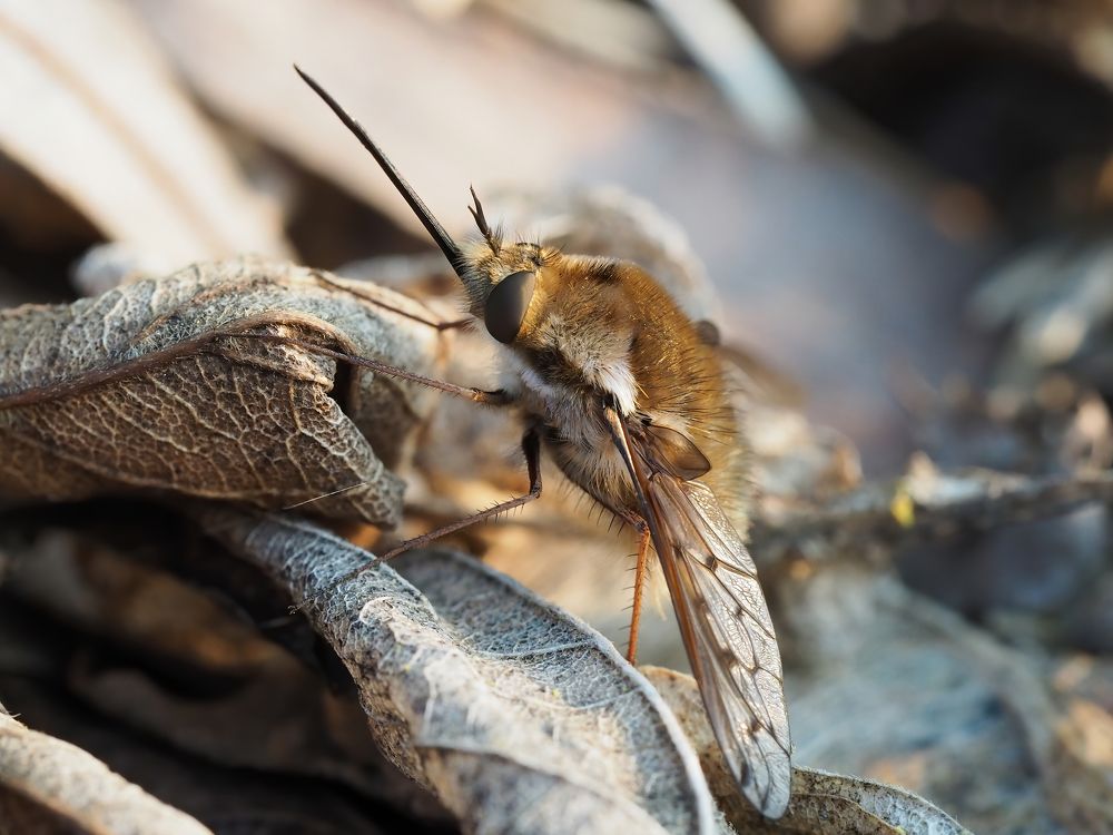 Photograph by Дмитрий