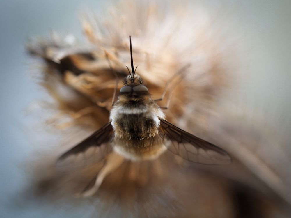 Photograph by Дмитрий