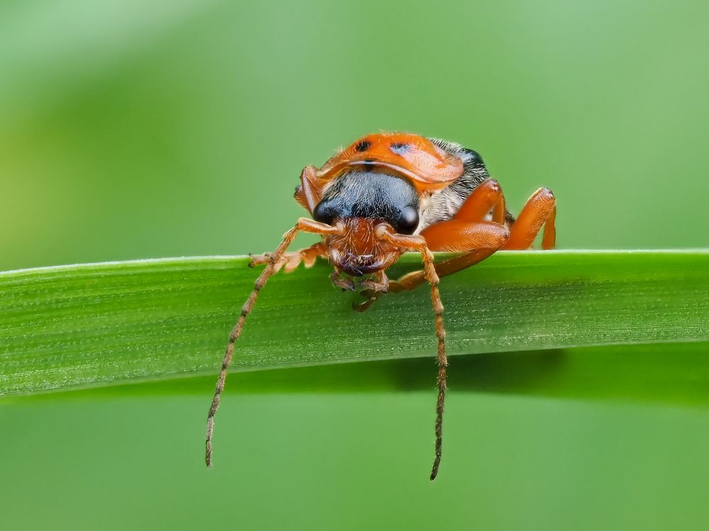 Photograph by Дмитрий