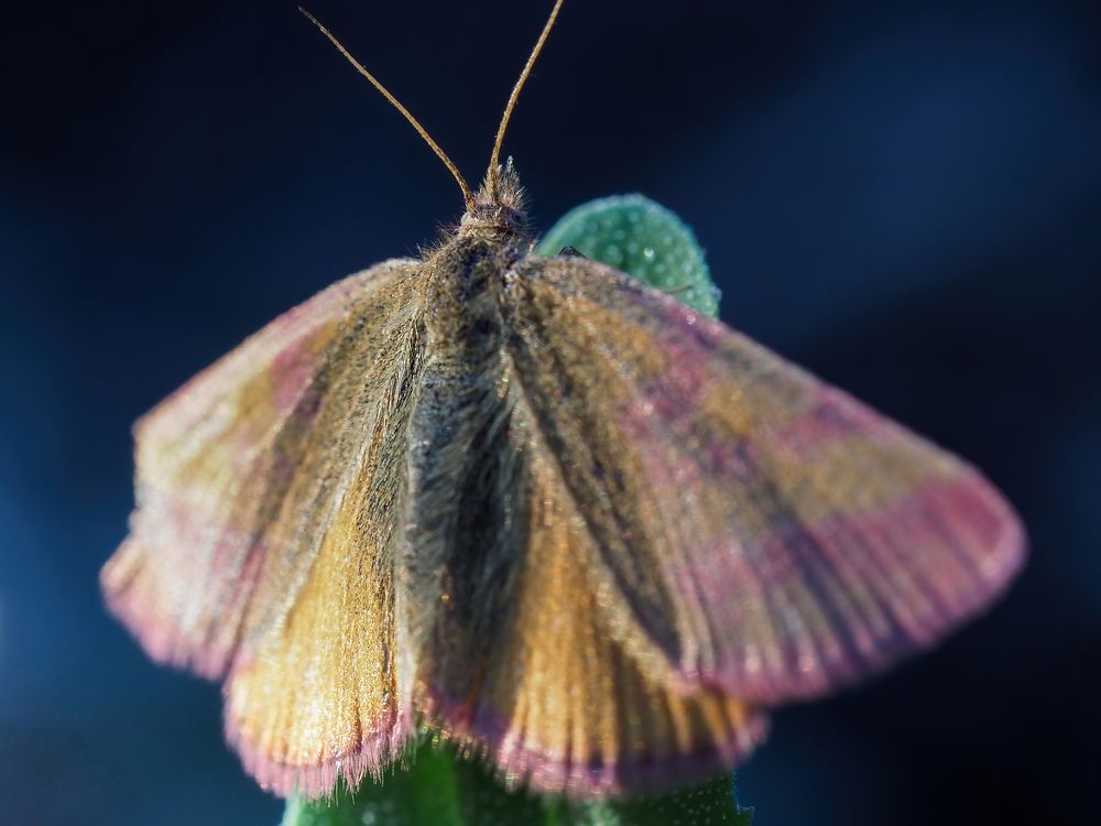 Photograph by Дмитрий