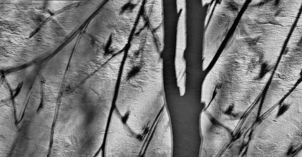 Photograph by Екатерина Степанова