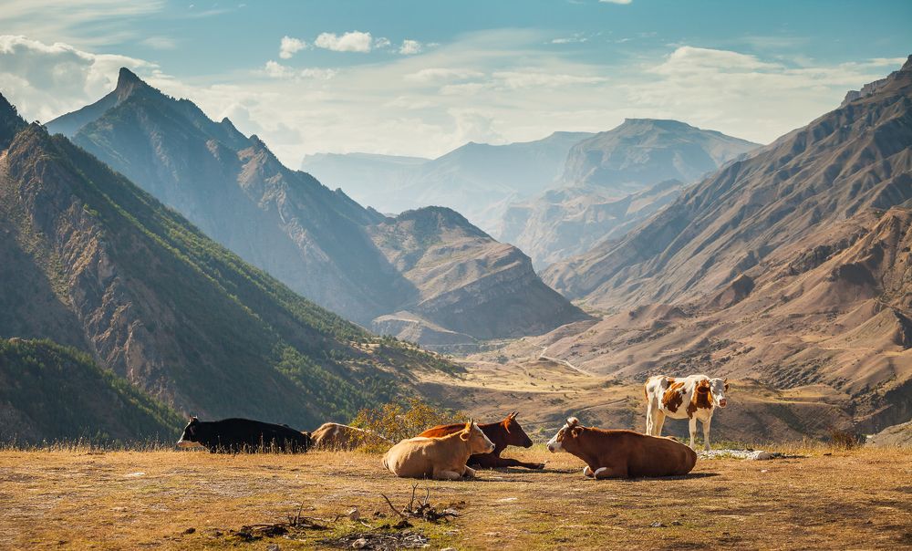 Photograph by Сергей Цепек