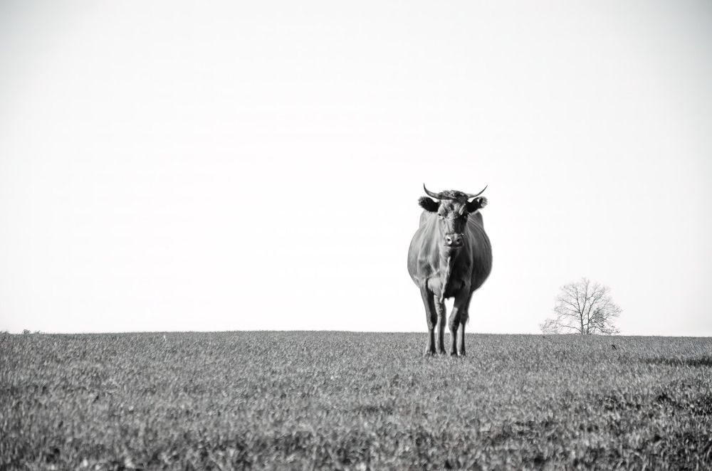 Photograph by Евгений Ижуков