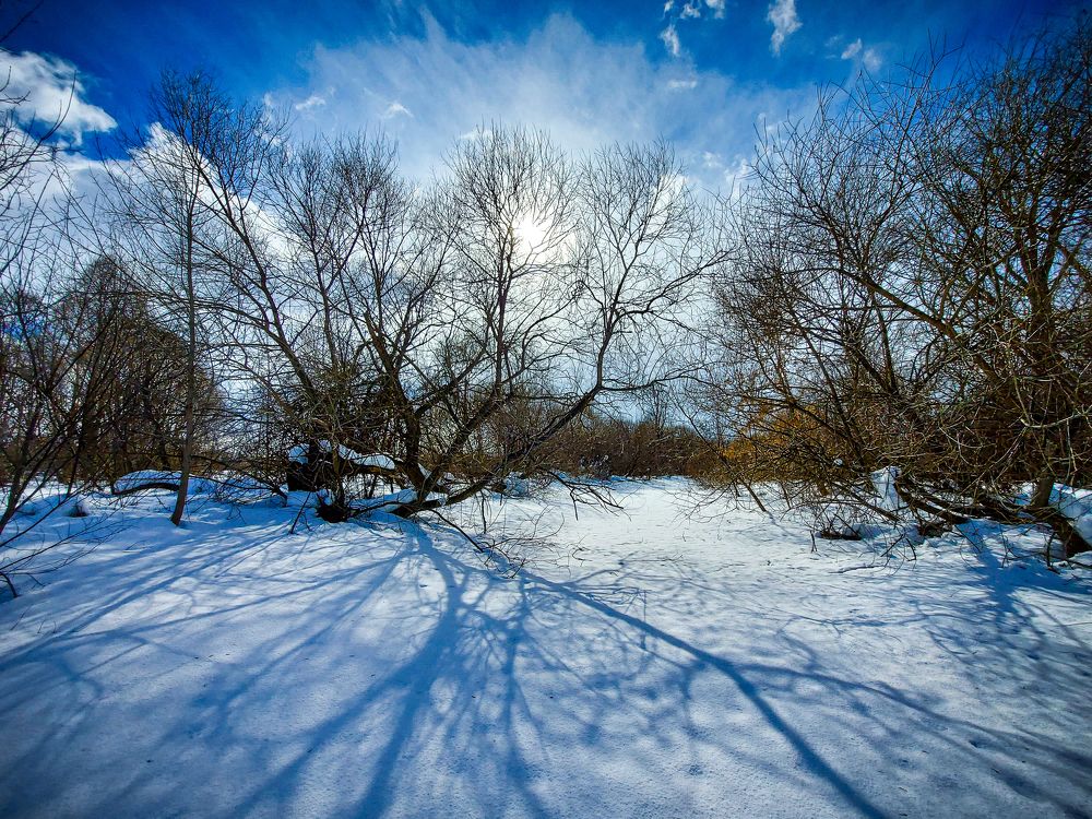 Photograph by Игорь Степанов