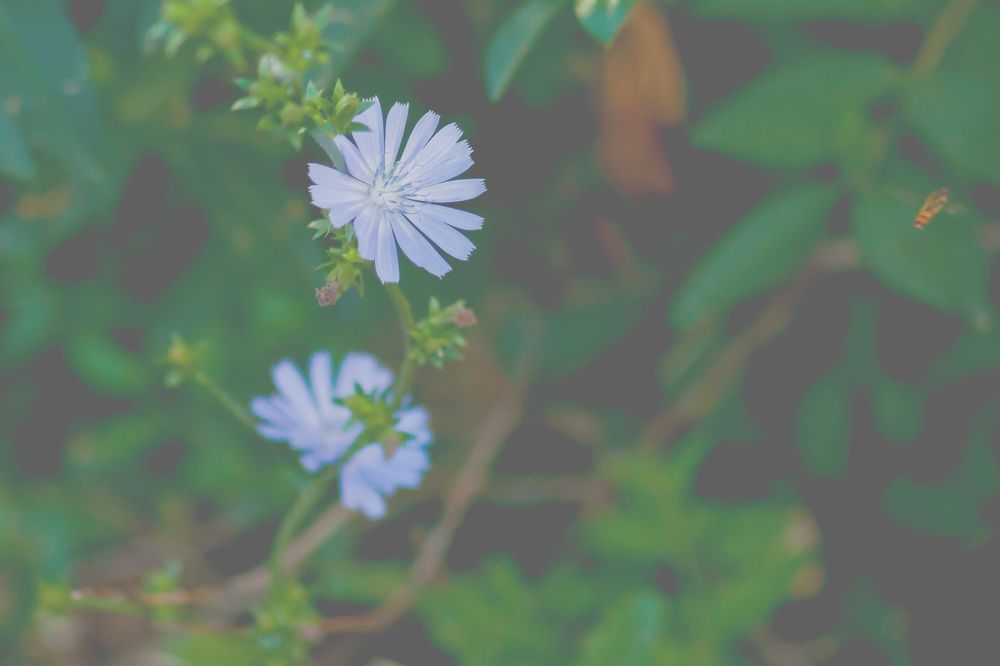 Photograph by Alexey Matarykin