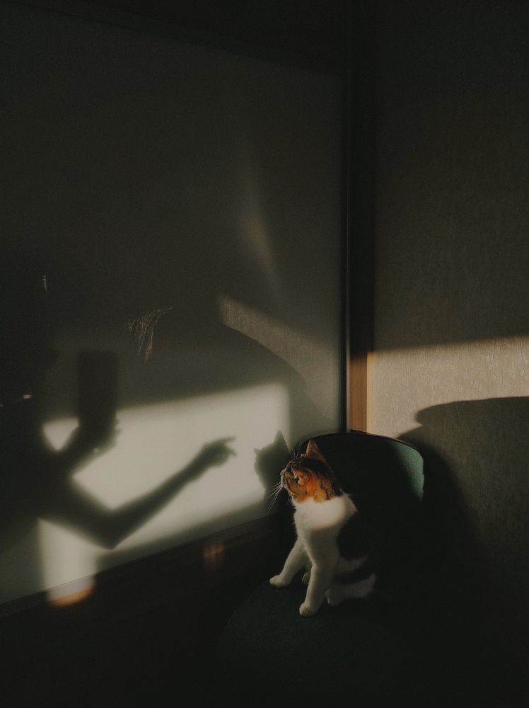 Photograph by Анна Нафтаева