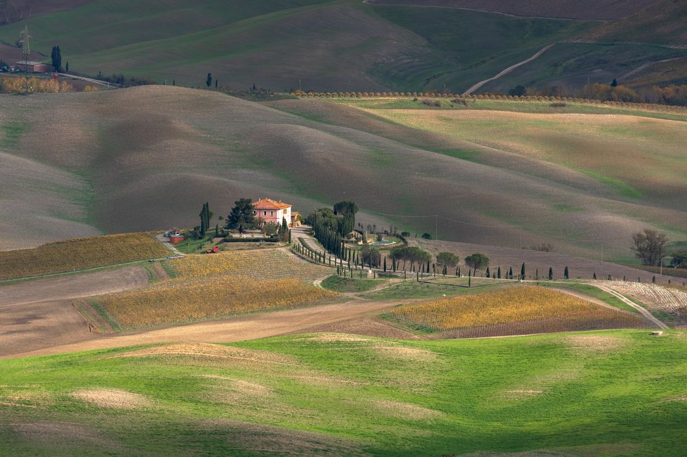 Photograph by Евгения Чех