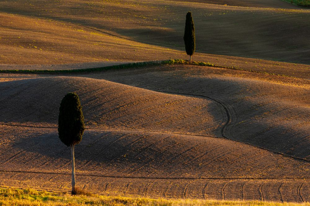 Photograph by Евгения Чех