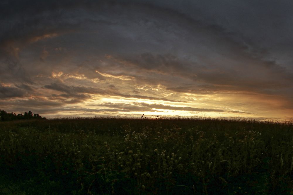 Фотография автора Елена Кошкина