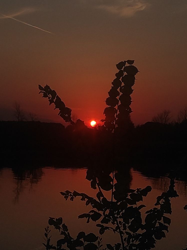 Photograph by Кирилл