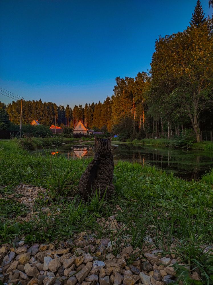 Photograph by Кирилл