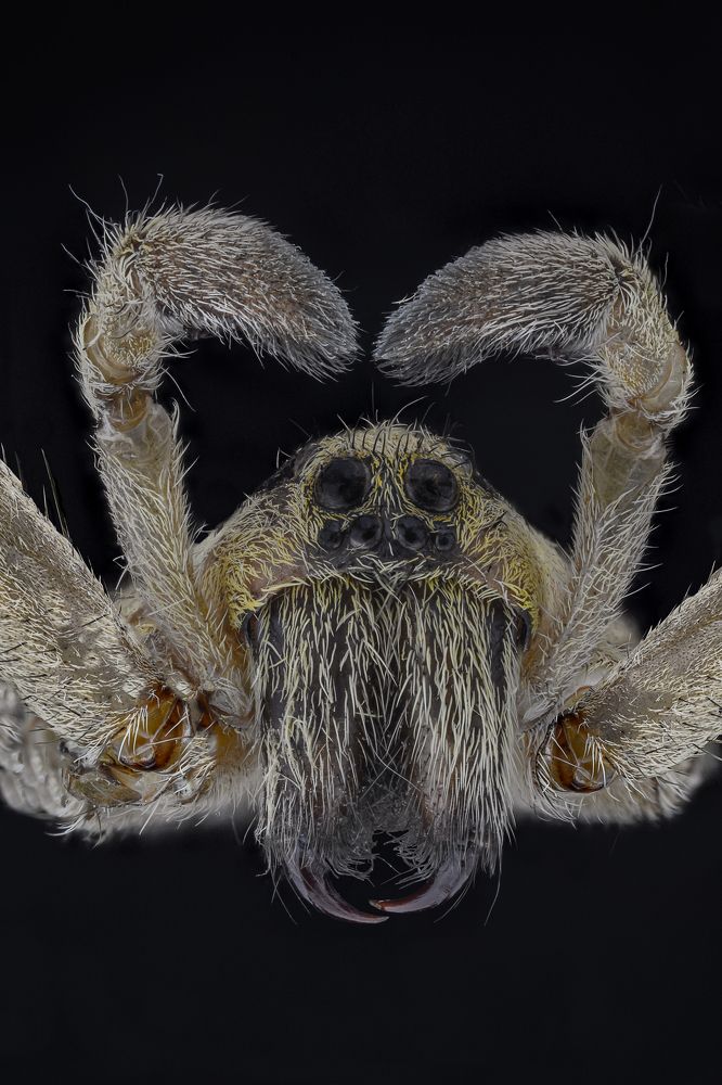 Photograph by Amgad ELSHAMY