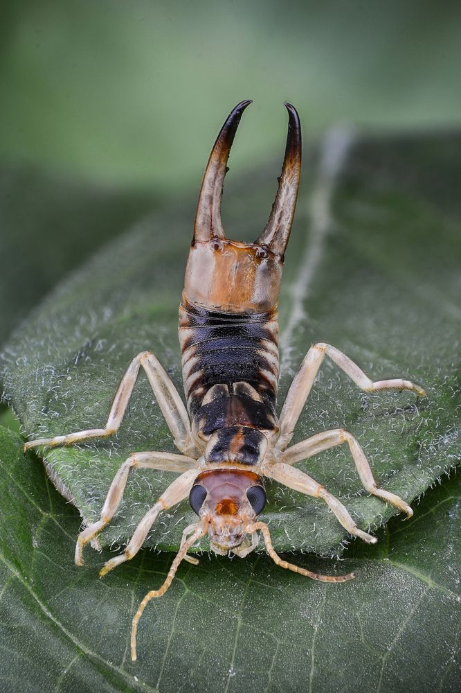 Photograph by Amgad ELSHAMY