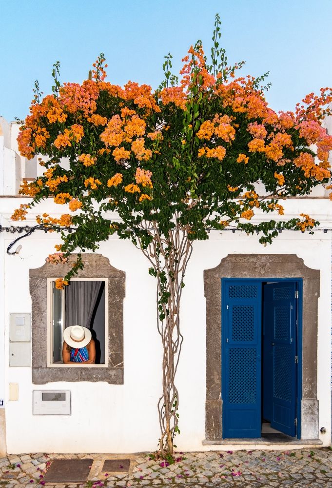 Photograph by Francisco José López Fernández