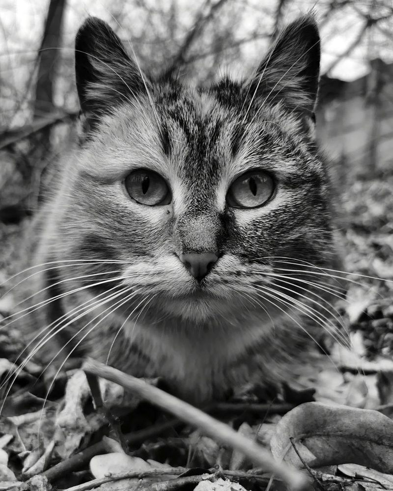 Photograph by Ева Мельникова