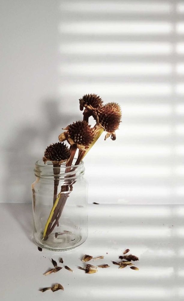 Photograph by Hasaral Abeyrathna