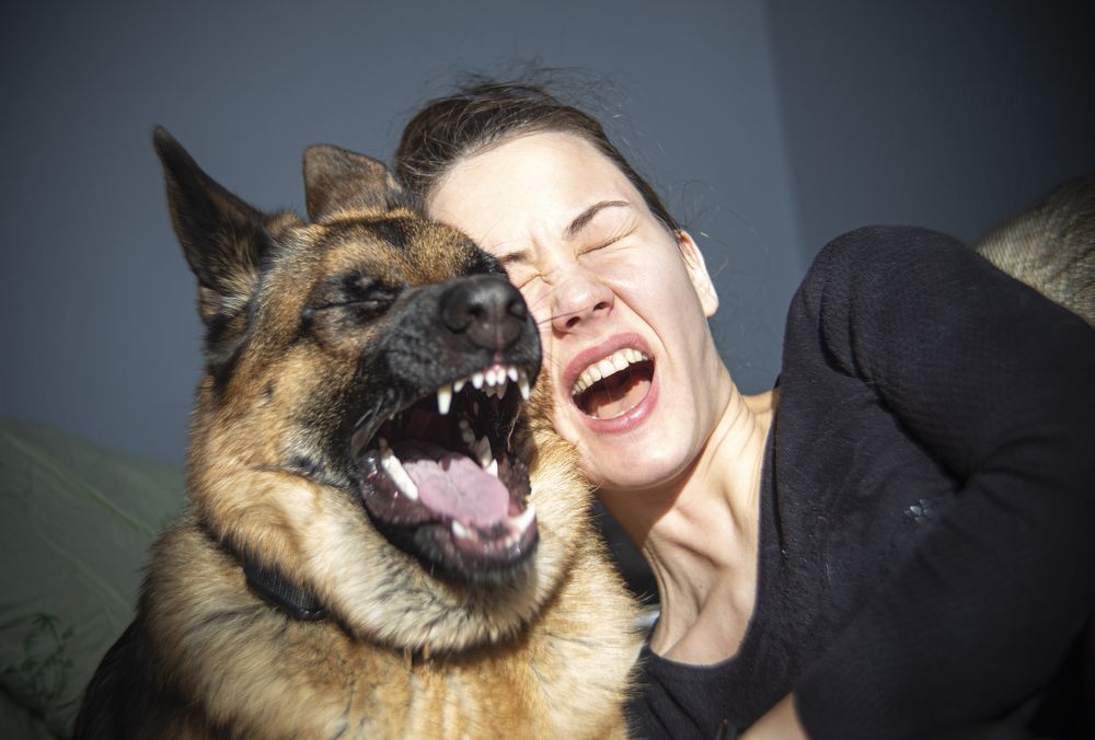 Photograph by ЕВГЕНИЙ СКАЛОЗУБОВ