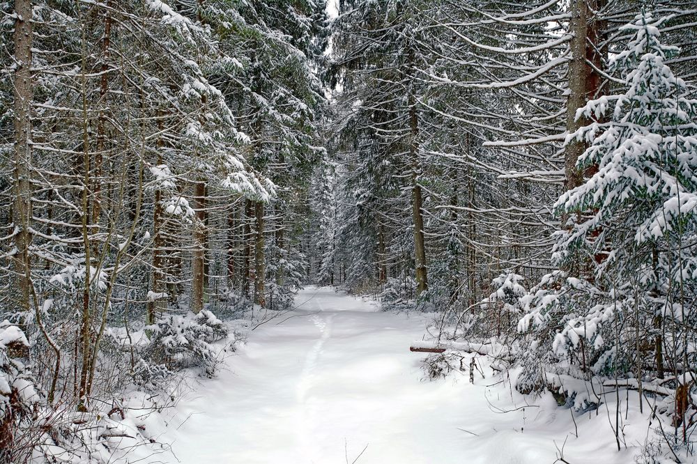 Photograph by Юрий Митенёв