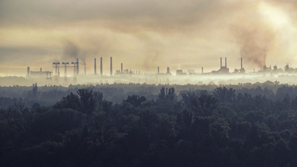 Photograph by Сергей