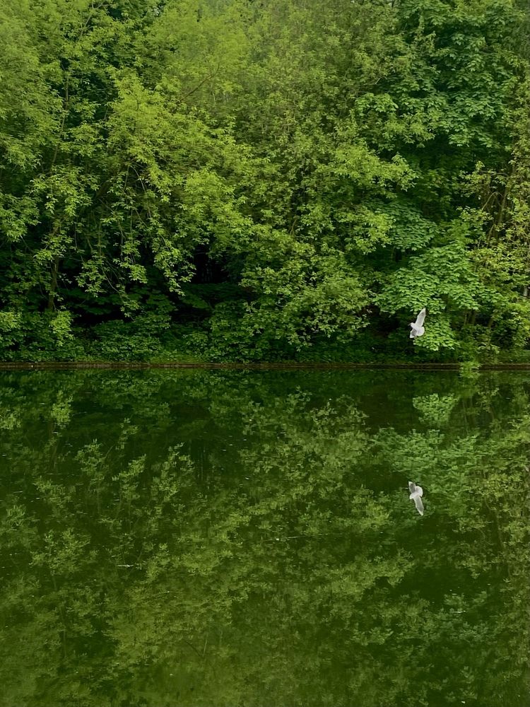 Photograph by Ирина Серегина