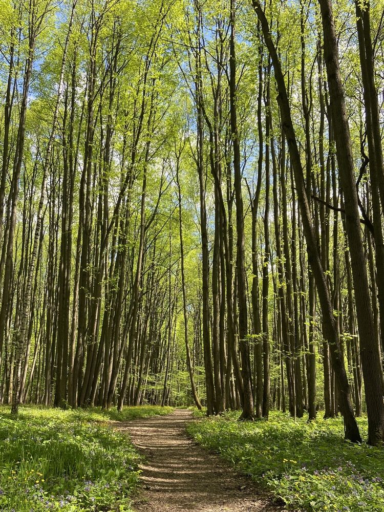 Photograph by Ирина Серегина