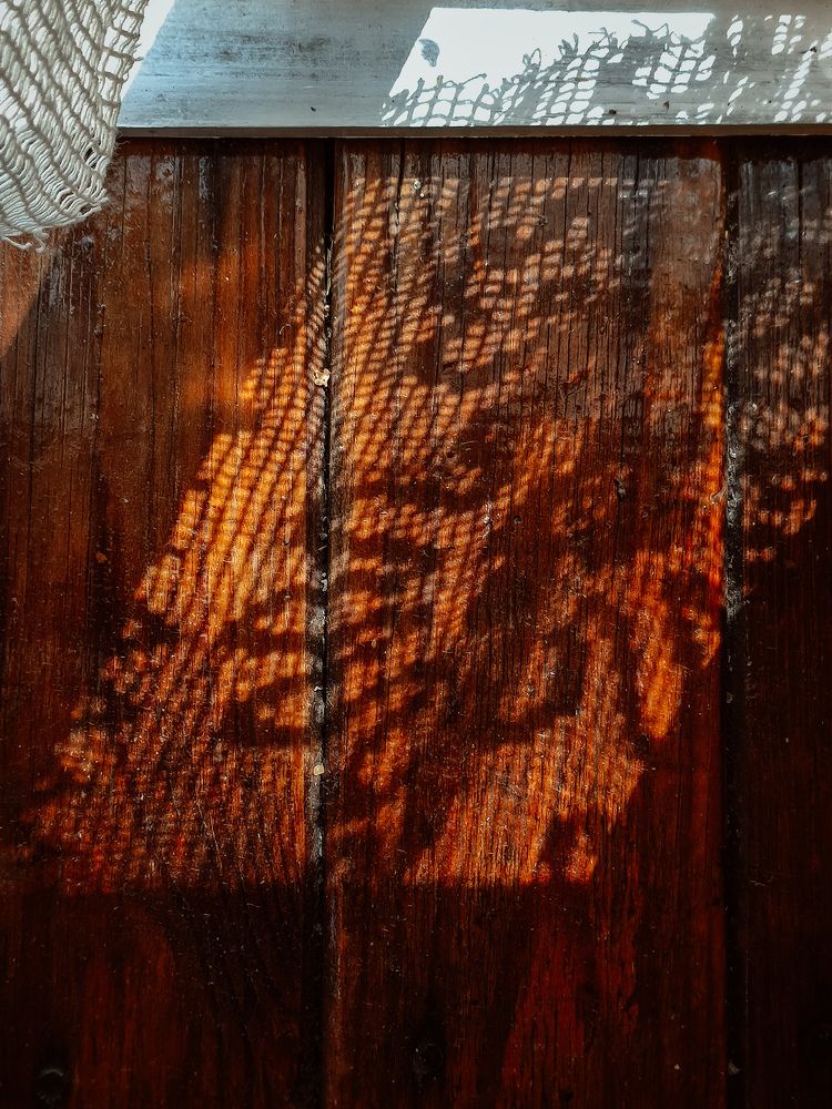 Photograph by Дарья Болгова