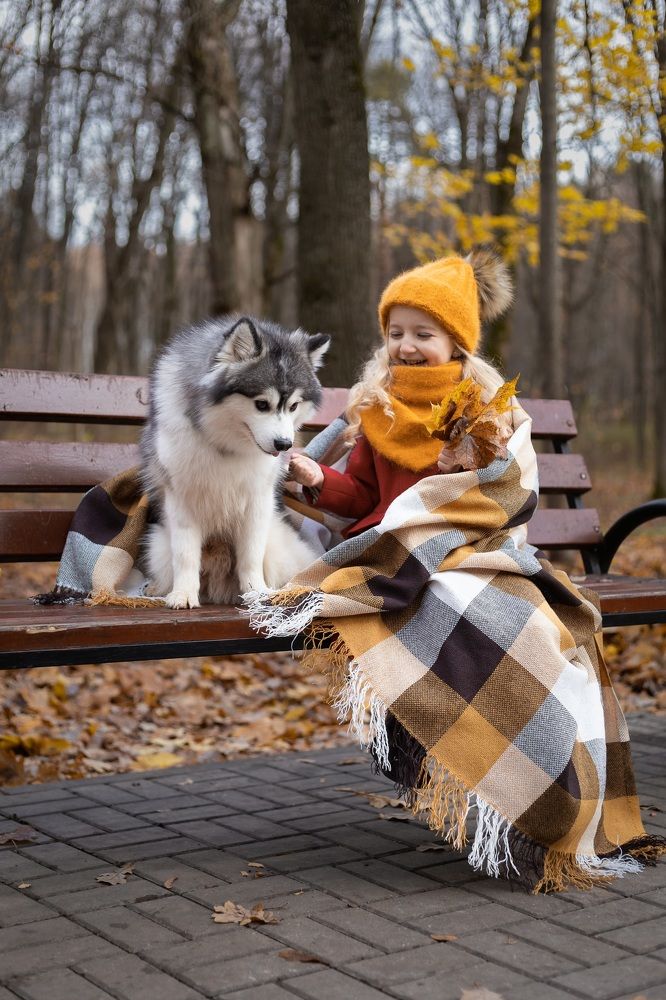 Photograph by Харламова Алина