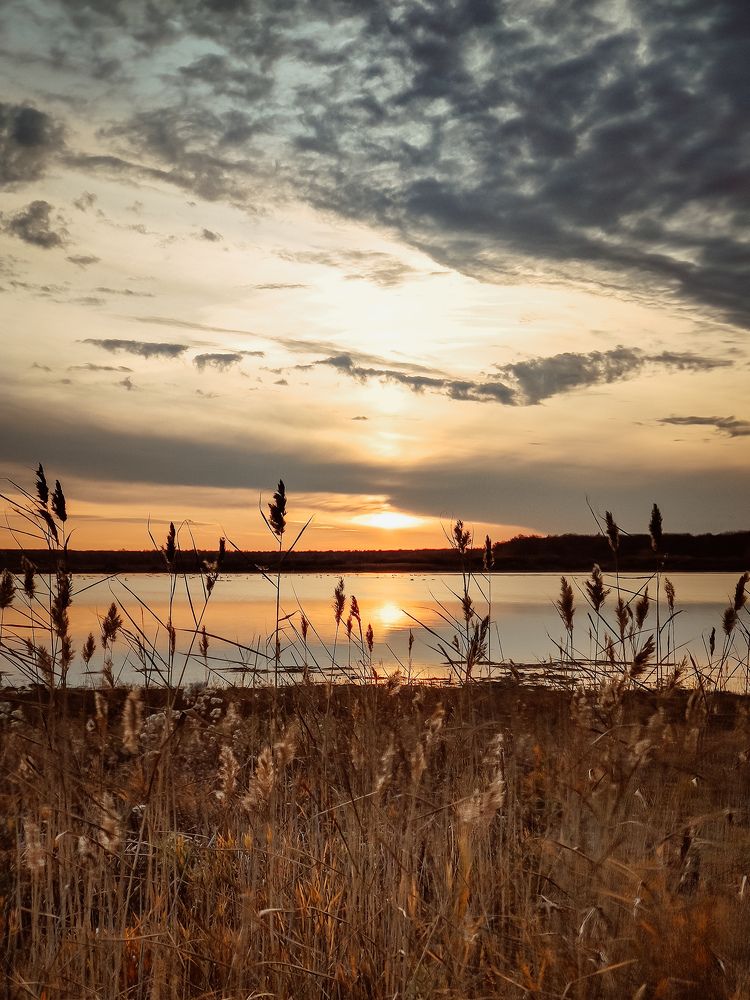 Photograph by Дарья Болгова