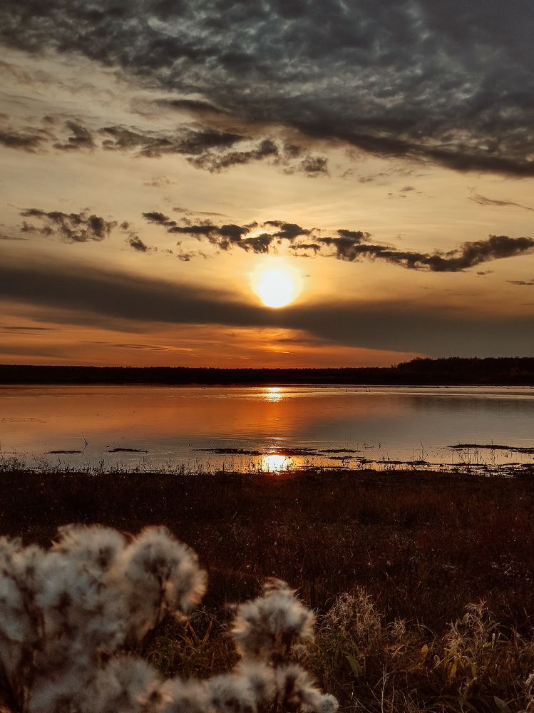 Photograph by Дарья Болгова