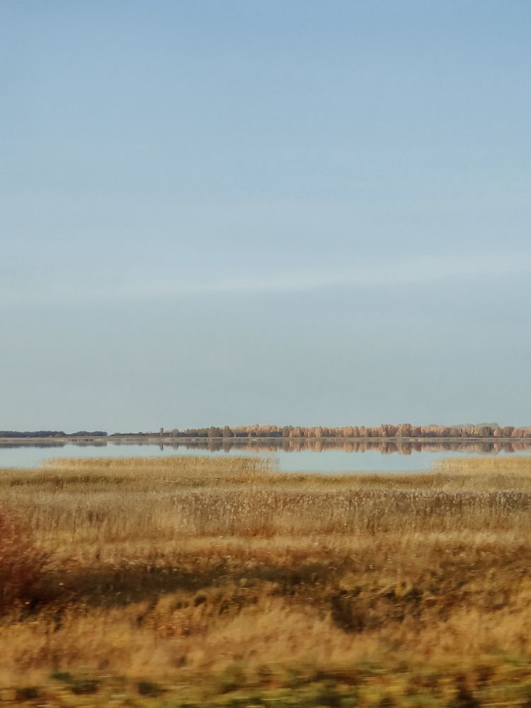 Photograph by Дарья Болгова