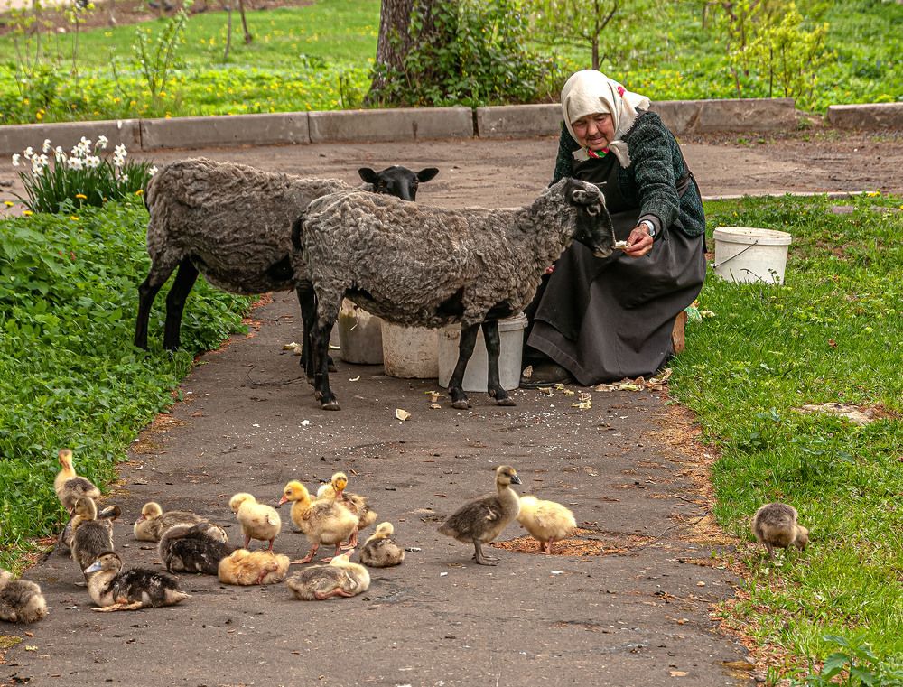 Photograph by Vladimir  Komarov