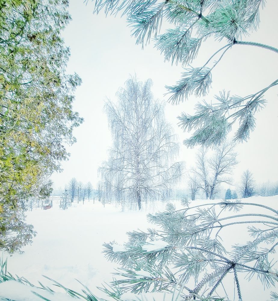 Photograph by Асад Ибадов