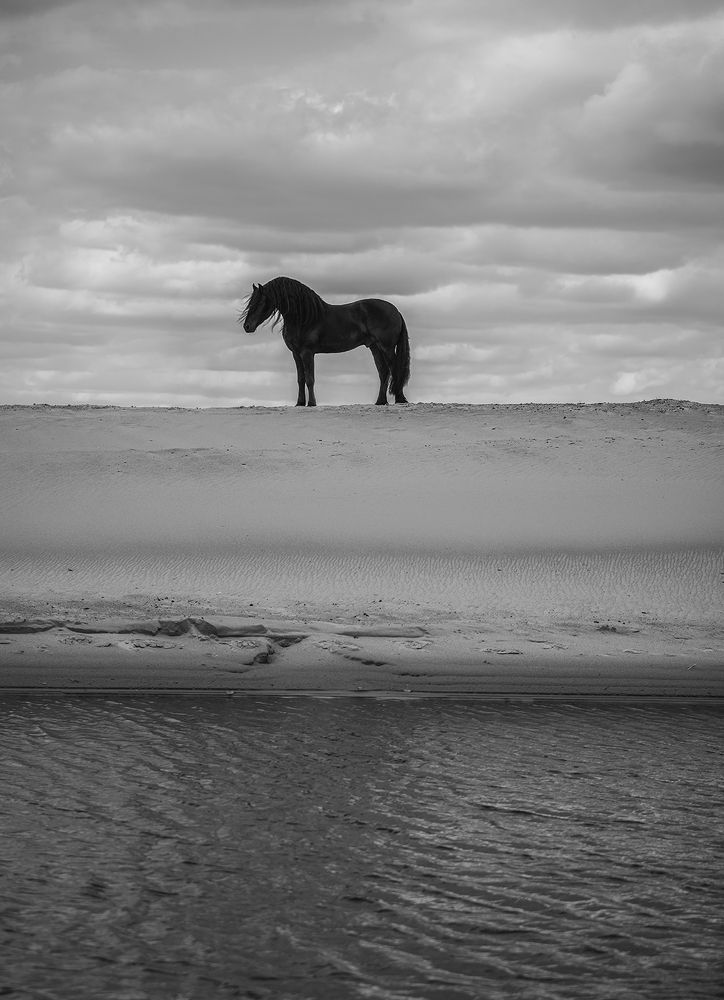 from heaven to earth